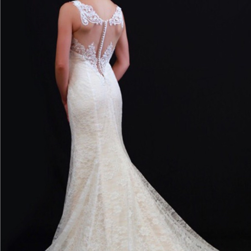 Elegant Lace Wedding Dress